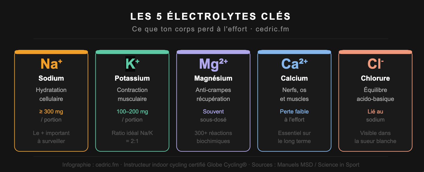 Infographie des 5 électrolytes clés pour le sport : sodium Na⁺, potassium K⁺, magnésium Mg²⁺, calcium Ca²⁺ et chlorure Cl⁻ — rôles et dosages